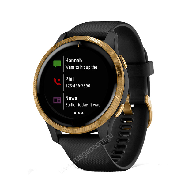 Часы Garmin Venu черные с золотистым безелем